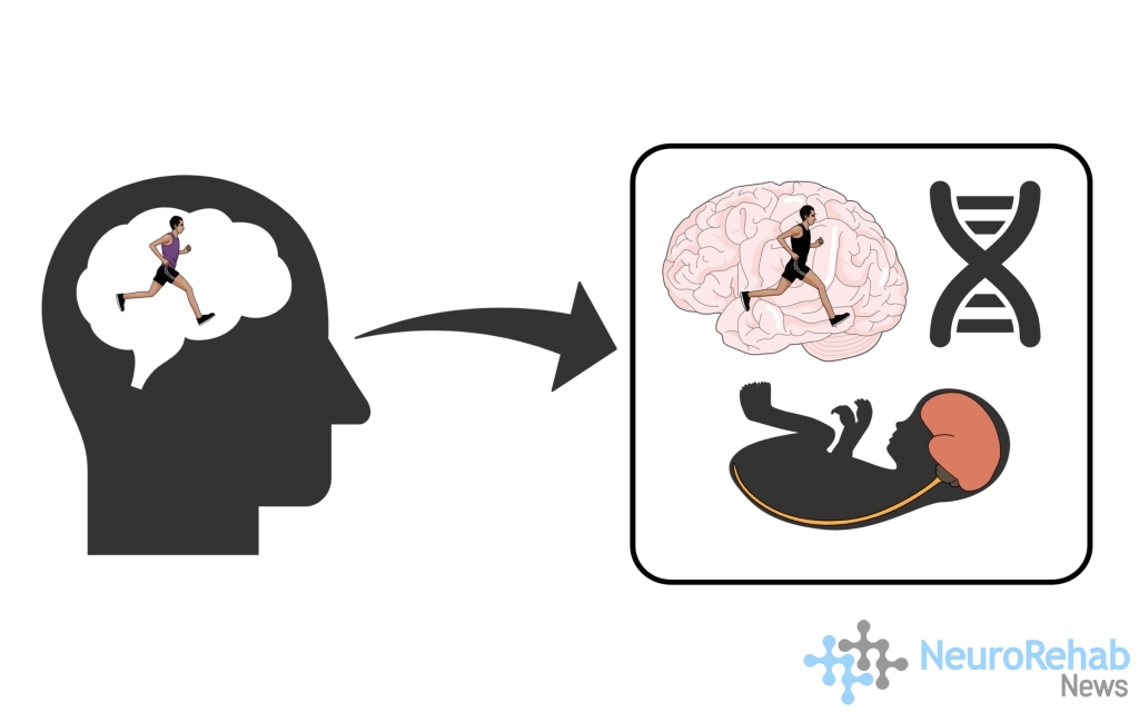 Un bebé, un cromosoma, y un cerebro con un individuo corriendo.